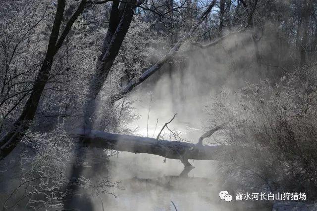 南非开普敦在全球最佳城市榜单排名第二