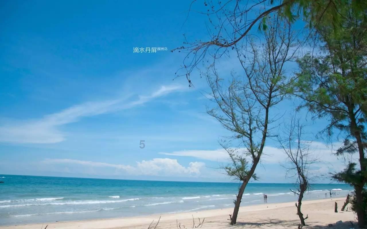博物馆小偷
